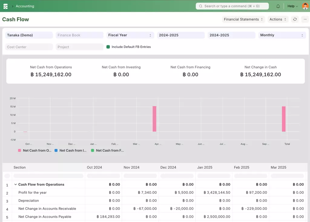 Cash Flow Report - รายงานงบการเงิน